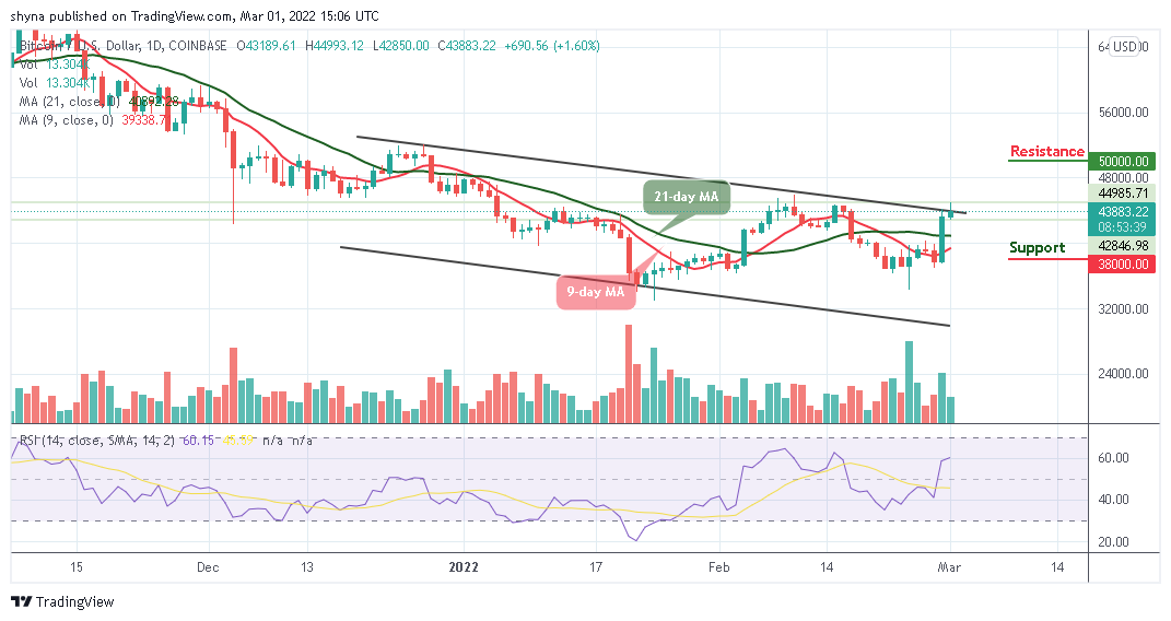 You are currently viewing Bitcoin Price Prediction: BTC/USD Gets Ready for a Spike Above $45000 Level