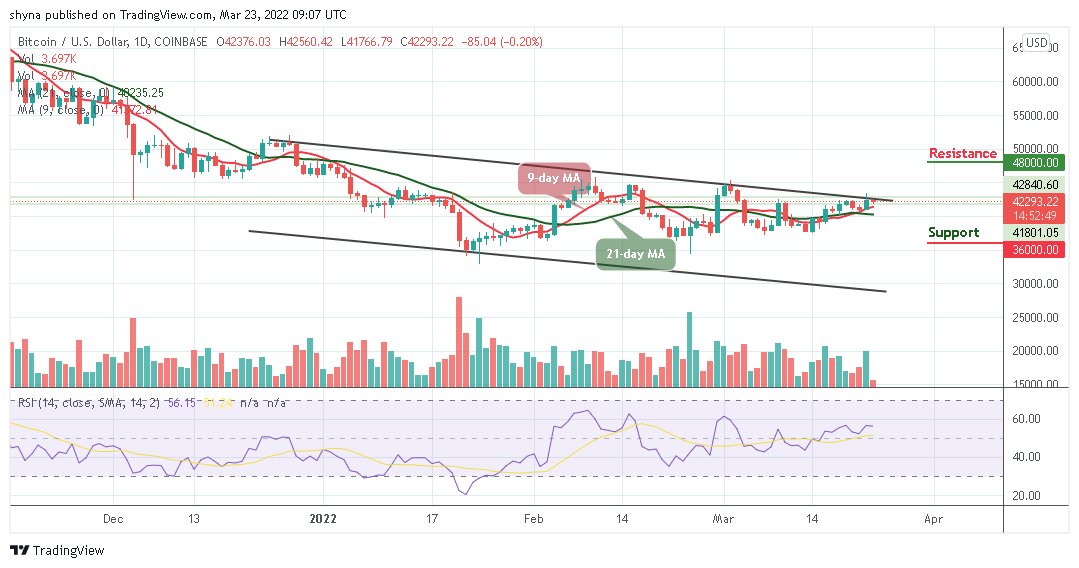 You are currently viewing Bitcoin Price Prediction: BTC/USD Moves Close to $42,000 Support