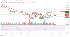 Read more about the article Bitcoin Price Prediction: BTC/USD Yet to Break Above $43,000 Resistance