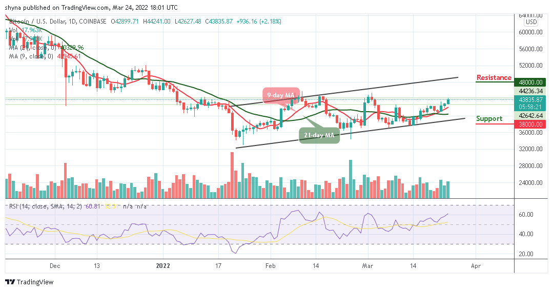 You are currently viewing Bitcoin Price Prediction: BTC/USD Spikes Above $44,000