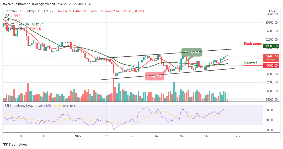 You are currently viewing Bitcoin Price Prediction: BTC/USD Consolidates Below $45,000 Level