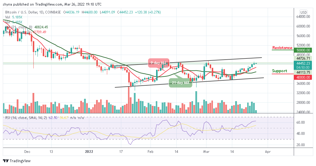 You are currently viewing Bitcoin Price Prediction: BTC/USD May Retrace Above $45,000