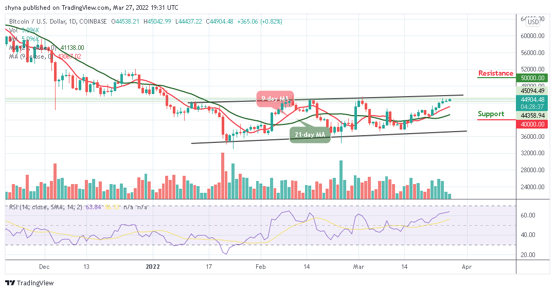 You are currently viewing Bitcoin Price Prediction: BTC/USD Climbs Above $45,000 Resistance