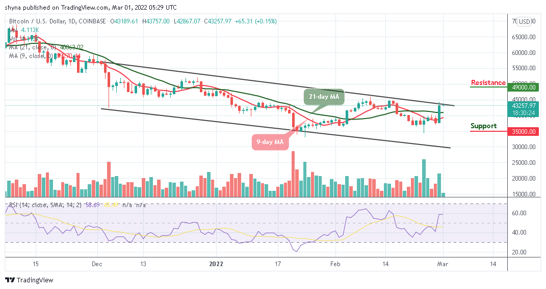 You are currently viewing Bitcoin Price Prediction: BTC/USD Touches $44,000 Resistance