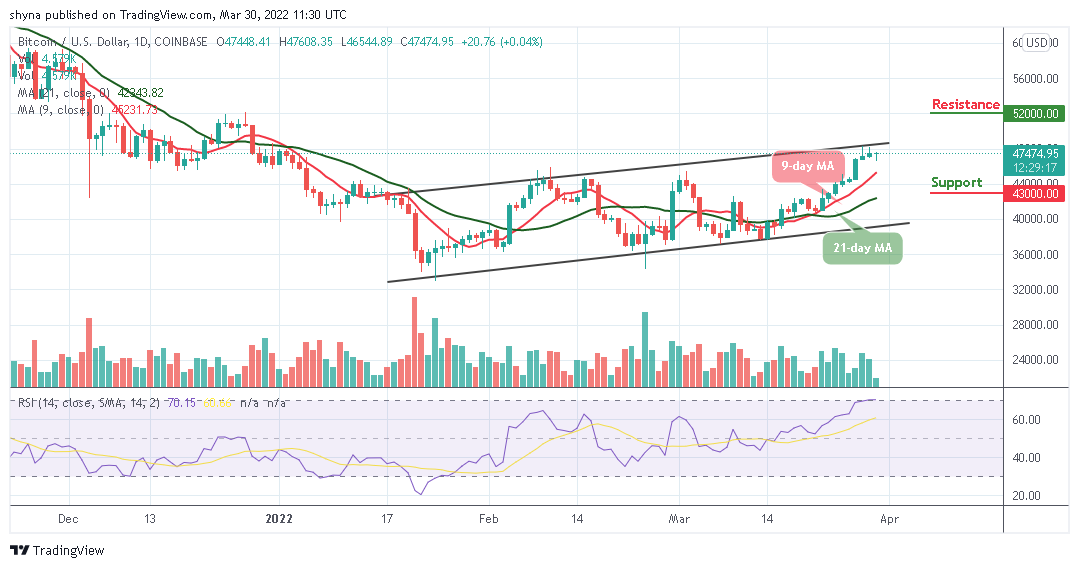 You are currently viewing Bitcoin Price Prediction: BTC/USD Rebounds from $46,544 Support