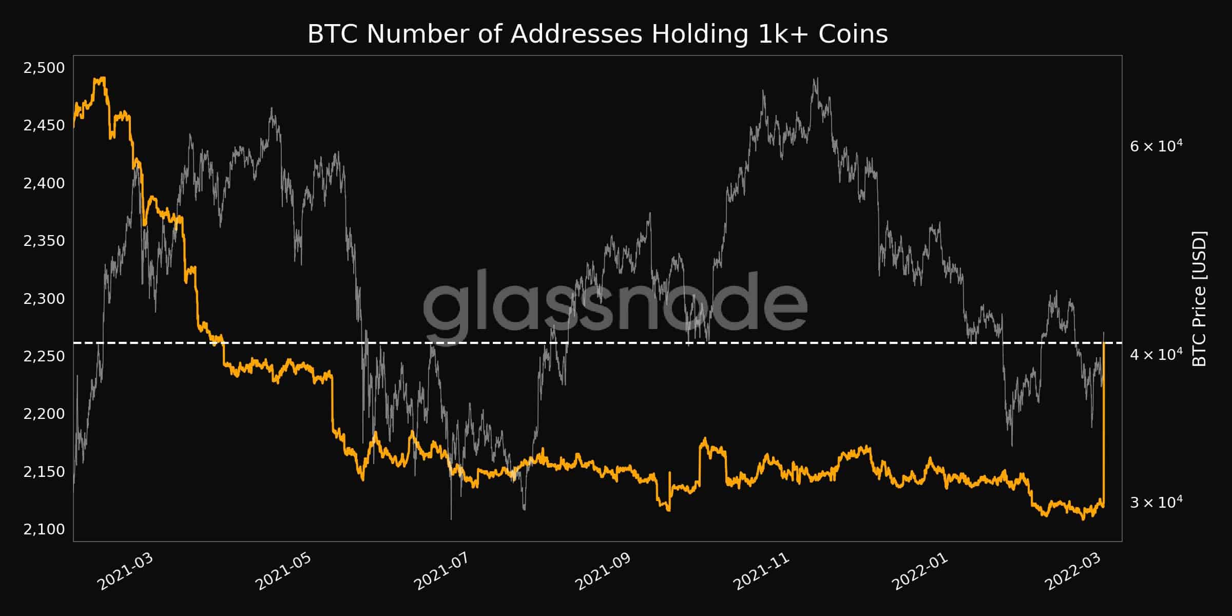 Accumulation: Bitcoin Whale Addresses Reach 10-Month High