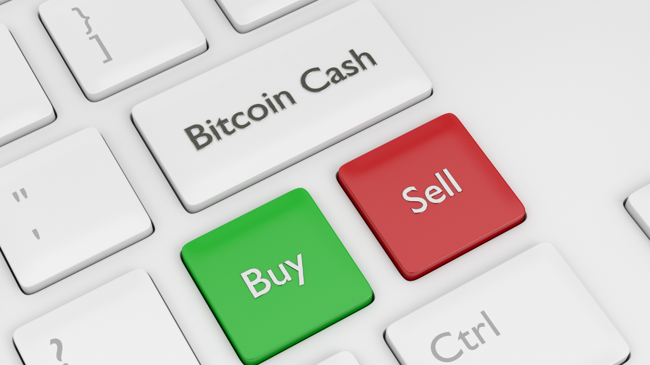 You are currently viewing Bitcoin Cash: All you need to know about this bullish opportunity