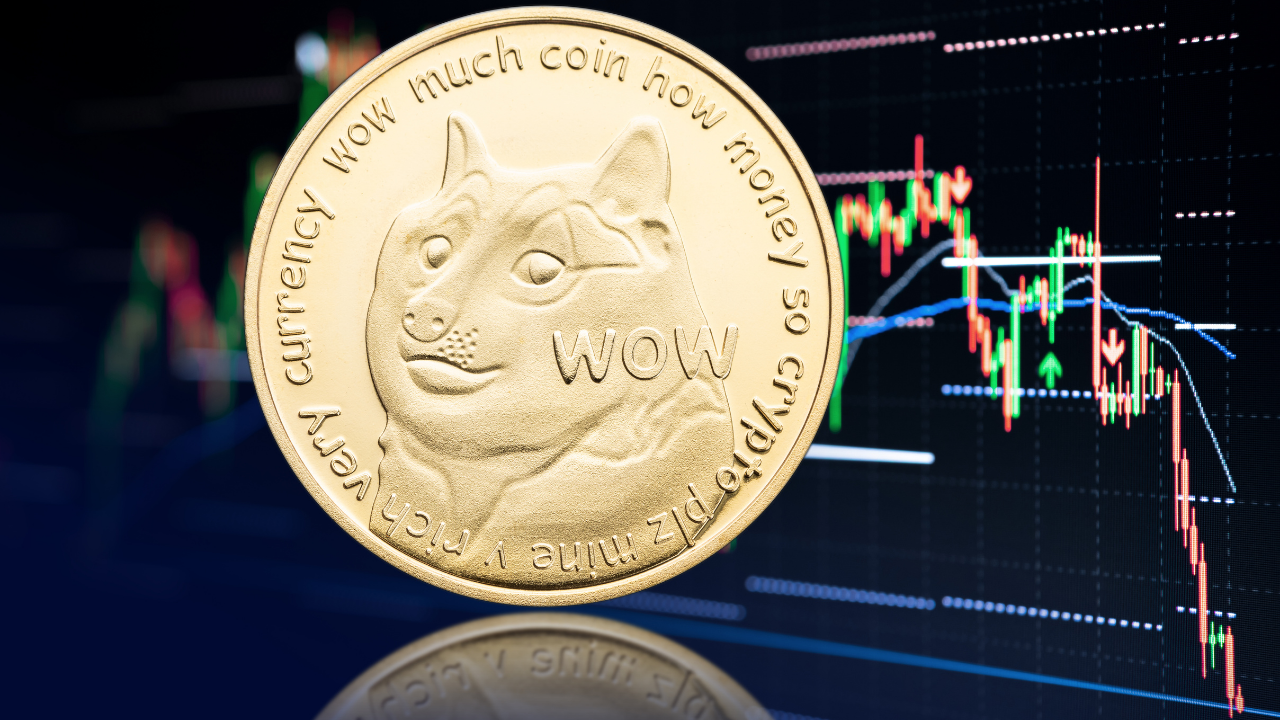 You are currently viewing Sentiment or not, should you bet on Dogecoin rallying soon