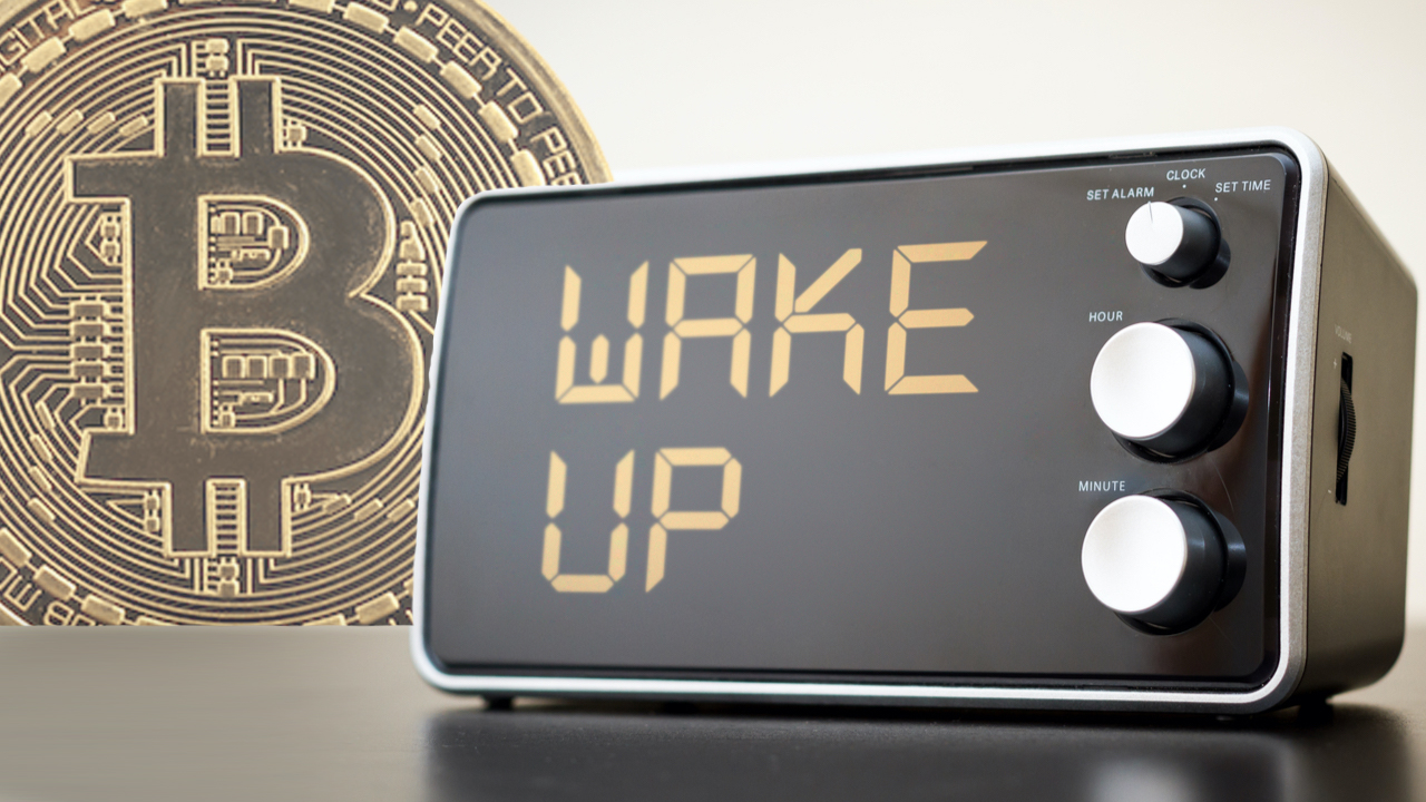 You are currently viewing 81.79 ‘Sleeping Bitcoin’ From 2011 Worth $3.6M Moved for the First Time in Over a Decade