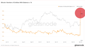 Spike in addresses holding more than 1K Bitcoin attributed to WBTC custodian