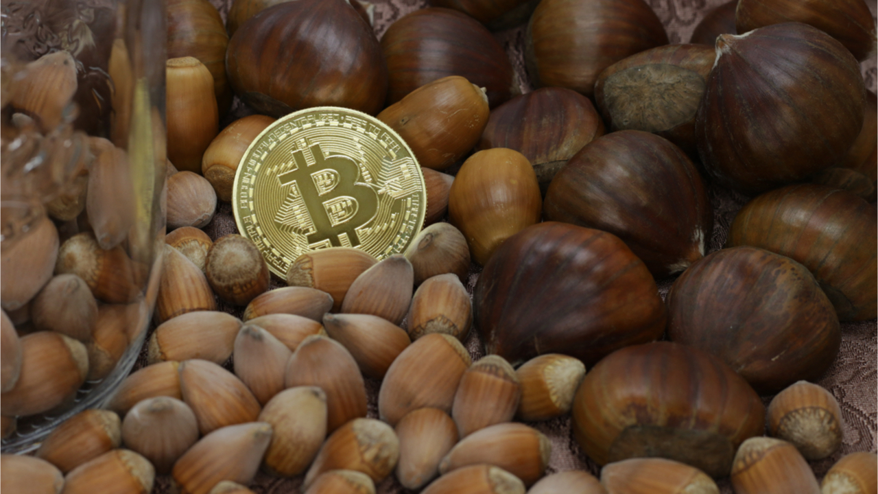 US Fintech Firm Acorns Adds Crypto Exposure Investing via Proshares Bitcoin ETF