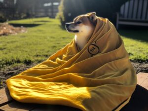 ChatGPT expects Dogecoin to surge by 5x very soon