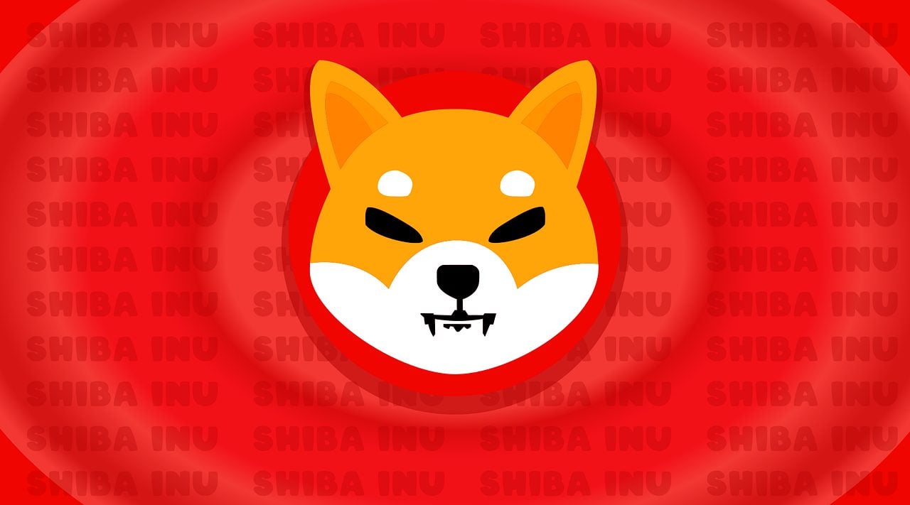 Shibarium’s Explosive Growth: Shiba Inu’s Layer-2 Blockchain Surges by 3,000% in Daily Contracts – What’s Next for SHIB?