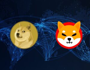 Read more about the article Shiba Inu (SHIB) Price Surge: Is It Set to Overtake Dogecoin? Expert Analysis Inside