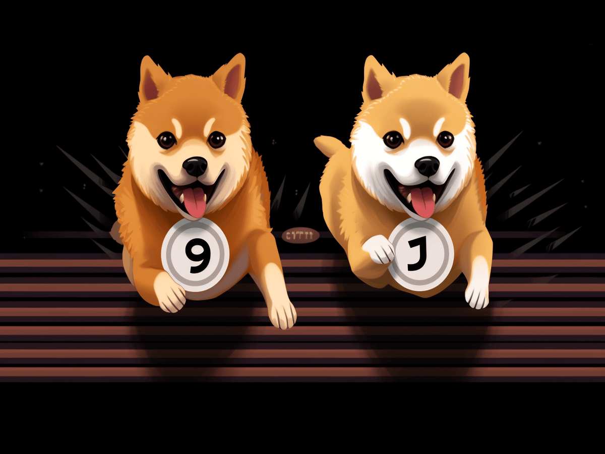 Can Shiba Inu flip Dogecoin in 2024?