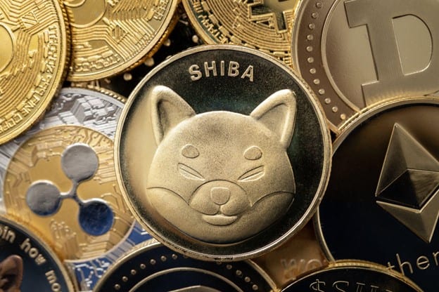 You are currently viewing Shiba Inu To Launch .shib Email for $SHIB Holders, as $GFOX Heads for New High