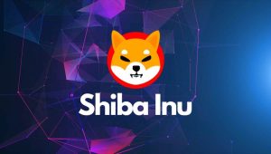 Shiba Inu Burn Rate Skyrockets 161,540%- What’s Next for SHIB Price?