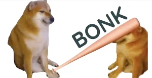 What is BONK in Crypto? A Guide on the Viral New Dog Meme Coin