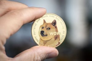 Read more about the article Doge Investors Eye New Opportunity Primed for Explosive Growth in 2024