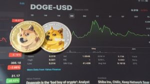 Read more about the article Dogecoin Fans Anticipate a New Cryptocurrency Poised for Exponential Growth