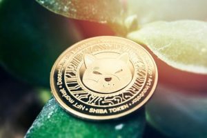 Shiba Inu (SHIB) Burns 8.6B Tokens Over Weekend; Render (RDNR) and InQubeta (QUBE) Emerge as Long-Term Picks