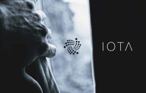 IOTA and Shimmer: A Bright Future in the World of Cryptocurrencies