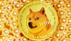 Read more about the article Direct Criticism of SEC Chairman by Dogecoin Co-Founder: Ineffective Regulation of Cryptoassets?