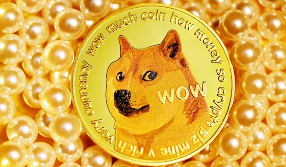 Direct Criticism of SEC Chairman by Dogecoin Co-Founder: Ineffective Regulation of Cryptoassets?