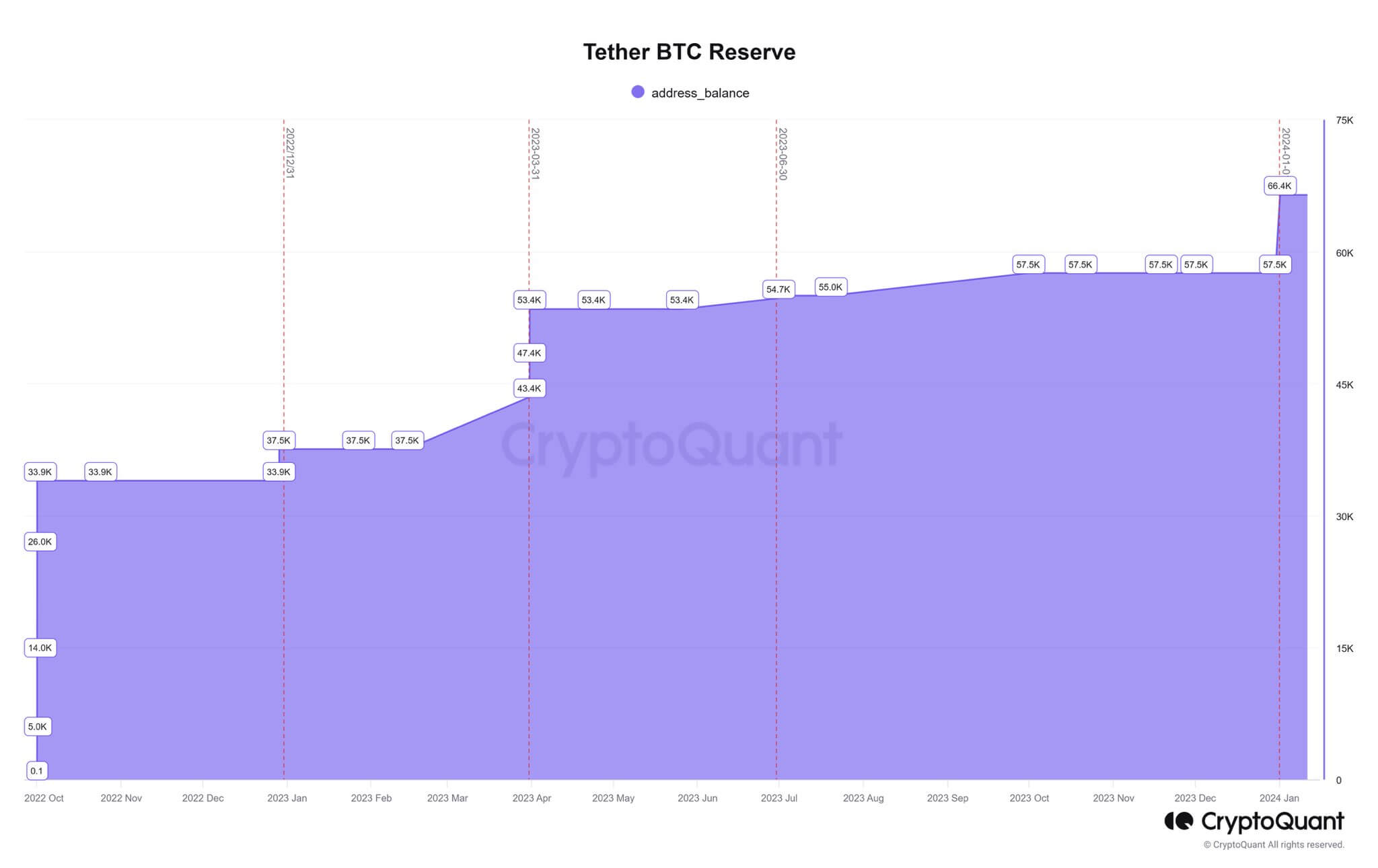 You are currently viewing Tether’s Bitcoin wallet swells to 66,400 BTC, tallying up unrealized gains of over $1B