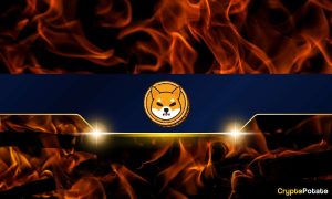 Read more about the article Shiba Inu Burn Rate Explodes 3,000% But the SHIB Price Corrects