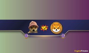 Read more about the article We Asked ChatGPT if Solana Meme Coin Dogwifhat (WIF) Can Flip Shiba Inu (SHIB) in 2024