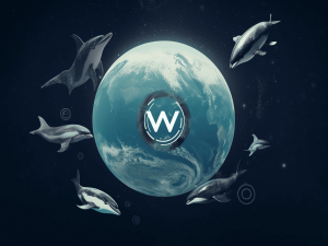 Read more about the article Worldcoin whales keep WLD in the picture: Here’s how