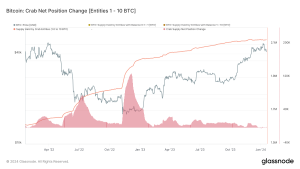 Read more about the article Whales dive deeper into Bitcoin as smaller holders retreat amid ETF pressures