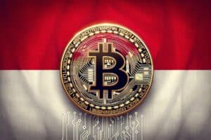 You are currently viewing Indonesia: collapse of tax revenues related to crypto and Bitcoin