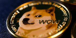 Read more about the article From Netflix to Dogecoin: Carl Erik Rinsch’s Lucrative Investment in a Memecoin