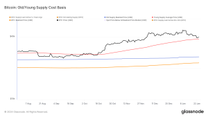 Bitcoin’s realized price by ‘young supply’ underpins recent price support