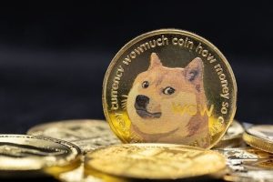 Read more about the article Looking at DOGE For 2024? Experts Suggest This P2E Cryptocurrency as a Superior Investment Option