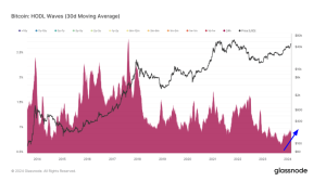 Analysis of HODL waves reveals a speculative market at play