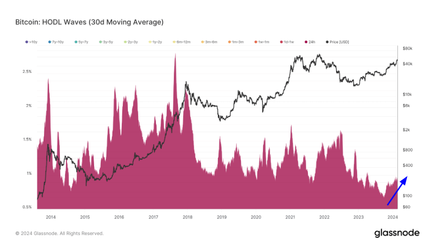 You are currently viewing Analysis of HODL waves reveals a speculative market at play