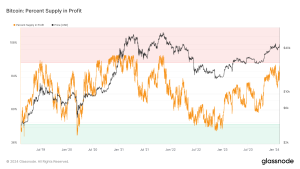 Read more about the article Over 92% of Bitcoin supply now profitable as price soars past $47,000