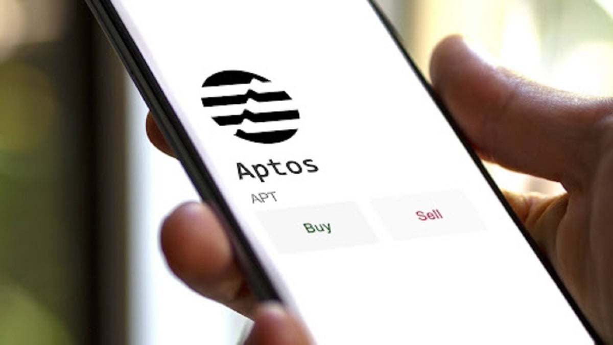 You are currently viewing While MANTA and Aptos Brace for Minor Setbacks, Traders Shift Focus to Borroe Finance Presale for Substantial Returns