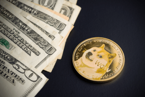 Read more about the article Innovating Beyond Avalanche (AVAX), Pushd (PUSHD) is Advancing! Could it challenge Dogecoin (DOGE) in Q1?