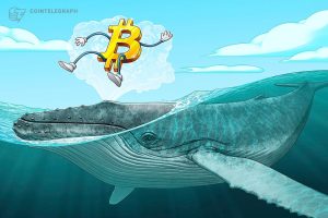 Bitcoin whales copy classic bull market moves as BTC price eyes K