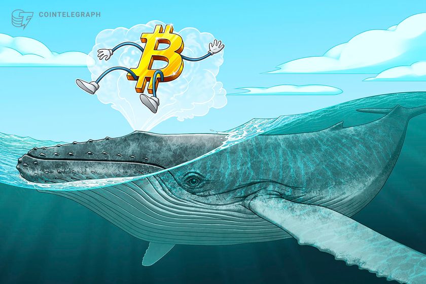 Read more about the article Bitcoin whales copy classic bull market moves as BTC price eyes $72K