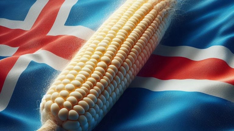 You are currently viewing Iceland’s Prime Minister Vows to Prioritize Food Security Over Bitcoin