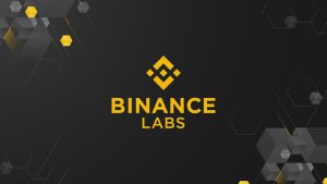 Read more about the article Binance Labs Boosts DeFi and Infrastructure Projects with Investments in Ethena, NFPrompt, and Others