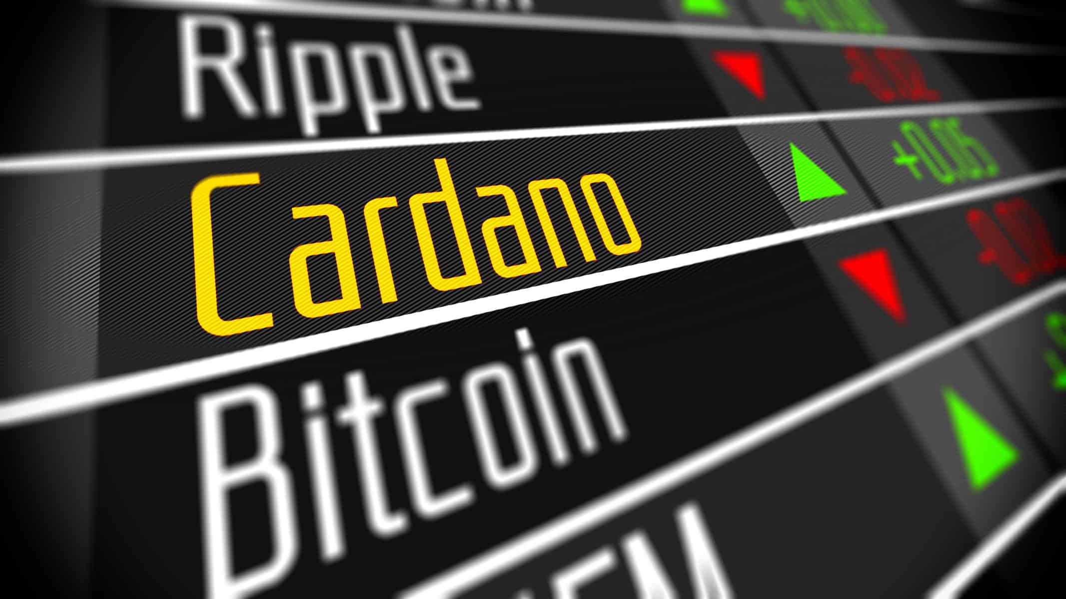 You are currently viewing Cardano Whales on the Move: Heavy Accumulation Sparks Speculation of $1 ADA Price