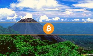 Read more about the article These Are The Top 5 Bitcoin-Interested Countries According to Google