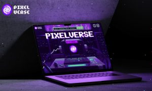 Read more about the article Pixelverse Gears Up for Launch on Raiser.co