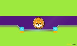 Read more about the article This Is How Shiba Inu (SHIB) Can Become The Largest Meme Coin in 2024